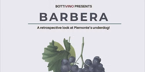 Barbera