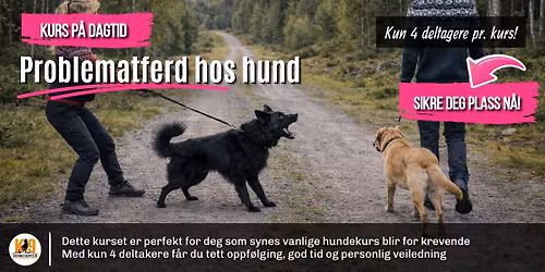 Problematferd hos hund - kurs p\u00e5 dagtid!