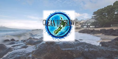 Milford Beach Clean Up Attempt 2!