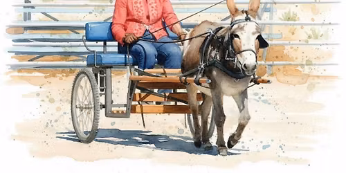 Itty Bitty Donkey and Open Horse Schooling Show