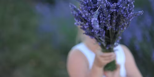 Lavender Harvest Days 2026