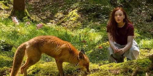 \u201eWILLOW I TAJEMNICZY LAS\u201d \/ FILM 7+
