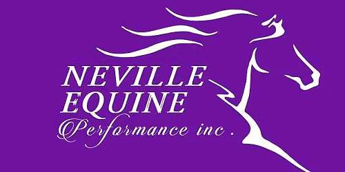 MATT CHARLES - Reining & horsemanship