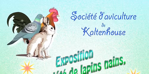 Exposition d'aviculture