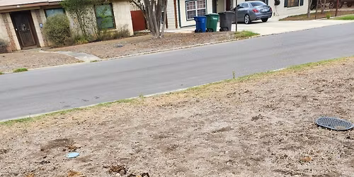 Fig and Plant Sale, and Social