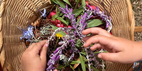 Kids Workshop: Seed Explorers