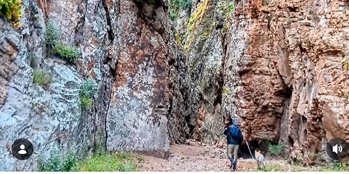 >Zampa Excursion \ud83d\udc3e Gola di Is Cioffus- escursione con i cani 