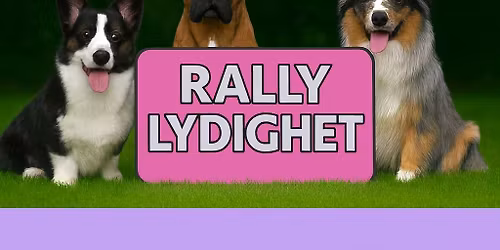 Rallylydighet stevne 18.-19. April 2026