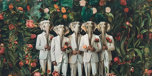 ORANGE VIBES - Open Mind Wolrd Music