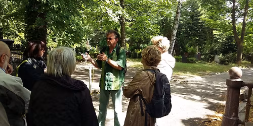  Vom Mauerbl\u00fcmchen zur Libanonzeder - Botanische Kostbarkeiten auf evangelischen Friedh\u00f6fen