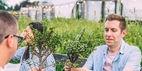 Bonsai Workshop at Loveland Aleworks