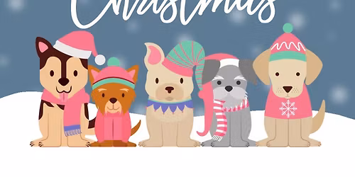 Modern K9 Solutions Christmas Party