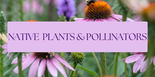 Native Plants and Pollinators