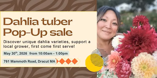 Fiona's Flower Farm - Dahlia Tuber Sale