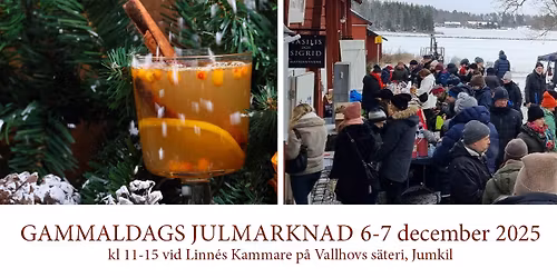 Julmarknad vid Vallhovs s\u00e4teri 2025