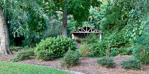 1986-89 NAHS Party at the Park Reunion