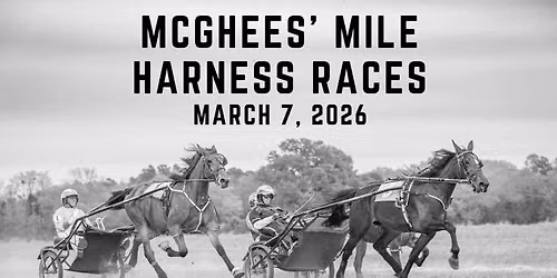 Harness Racing