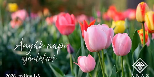 Any\u00e1k Napja az ARAZ-ban