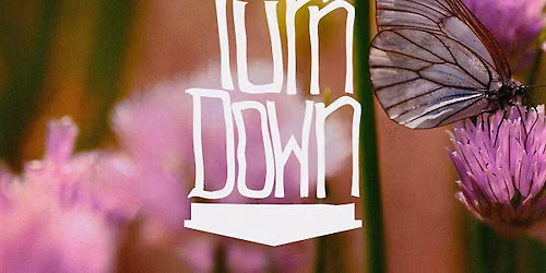 Turn Down Tuesday at Havenhaus