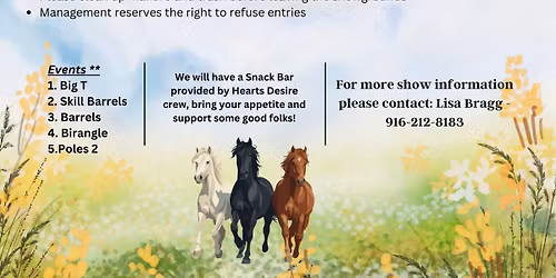 CSHA Region 4 gymkhana show #2