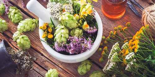Herbal Remedies and Applications
