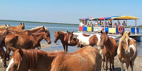 4-Day Coastal Ponies & Piers