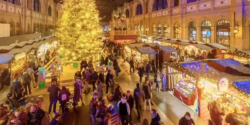 Christmas Special: Interlaken,Lauterbrunnen,Grindelwald,Chamonix and Geneva Trip  by Uniflucht