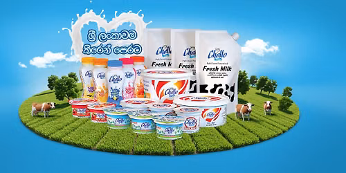 World Milk Day With Chello