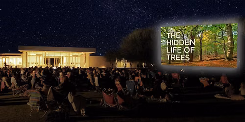 Films in the Gardens: The Hidden Life of Trees (2020)
