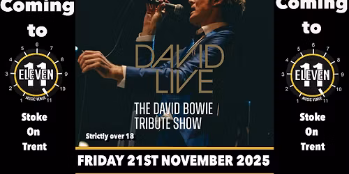 David Live the David Bowie tribute show live at Eleven Stoke 