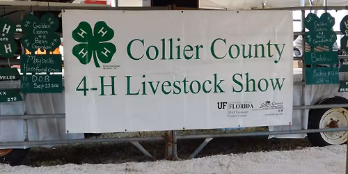 4-H Livestock Show