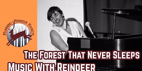 Music With Reindeer: The Forest That Never Sleeps