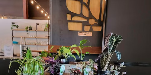 Plant Bingo - Juniper Botanical Bar