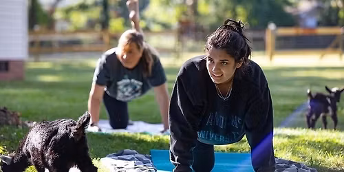 Goata Yoga w\/ Jill Eagan