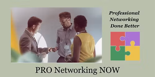 PRO Networking NOW - Come Visit!