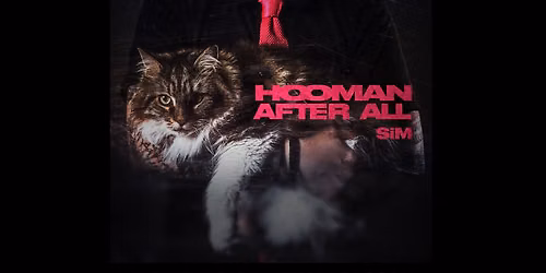 SiM | Patronaat Haarlem