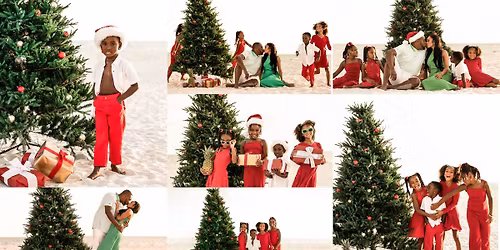 Christmas Tree & Beach Mini Photoshoots | St. Petersburg, FL