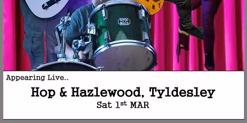 Bad MotherCovers Live @ The Hop