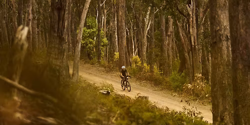THE LAST EVER MERRY CURVEMAS Gravel Social Ride*