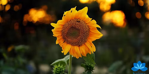 Insight Meditation Retreat with Tempel Smith & Jeanne Corrigal [Aug15beth]