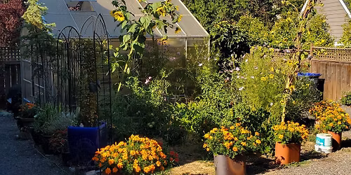 A Garden-ful of Metaphors