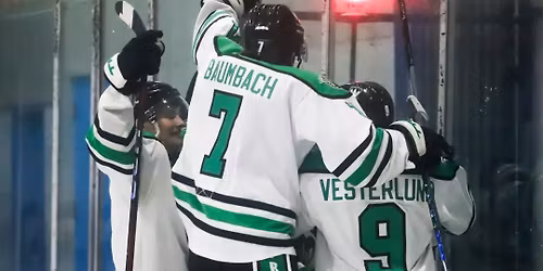 Fresno Monsters 2025 to 26 Season Tickets