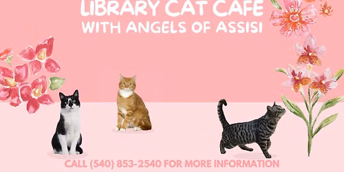 Cat Caf\u00e9 with Angels of Assisi