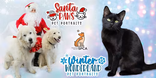 Winter Pet Portraits featuring Santa Paws!