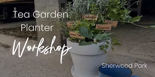 DIY Tea Garden Planter | Workshop | Sherwood Park