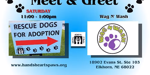 Meet and greet at Wag n Wash