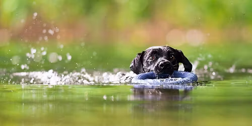 Ob\u00f3z szkoleniowo-wypoczynkowy. Praca wodna i praca w\u0119chowa