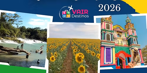 Tour entre Girasoles