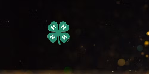 Greenville County Awards Ceremony