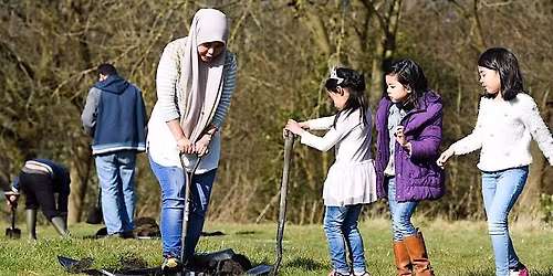 Planting an Orchard at Rodney Fields, Burnage, Manchester